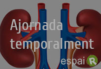 Espai R: Utilització de fàrmacs a la insuficiència renal crònica