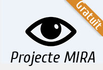 Formació de formadors: Projecte MIRA. Pla integral de la prevenció i maneig de la retinopatia diabètica en DM2