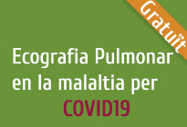 Ecografia pulmonar en la malaltia per COVID19