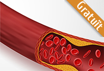 El Colesterol aterogènic i els triglicèrids en prevenció de la malaltia vascular: Com frenar una relació perillosa?