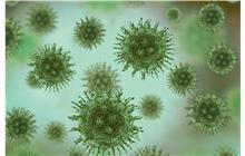 IV Jornada Malalties infeccioses a l’Atenció Primària