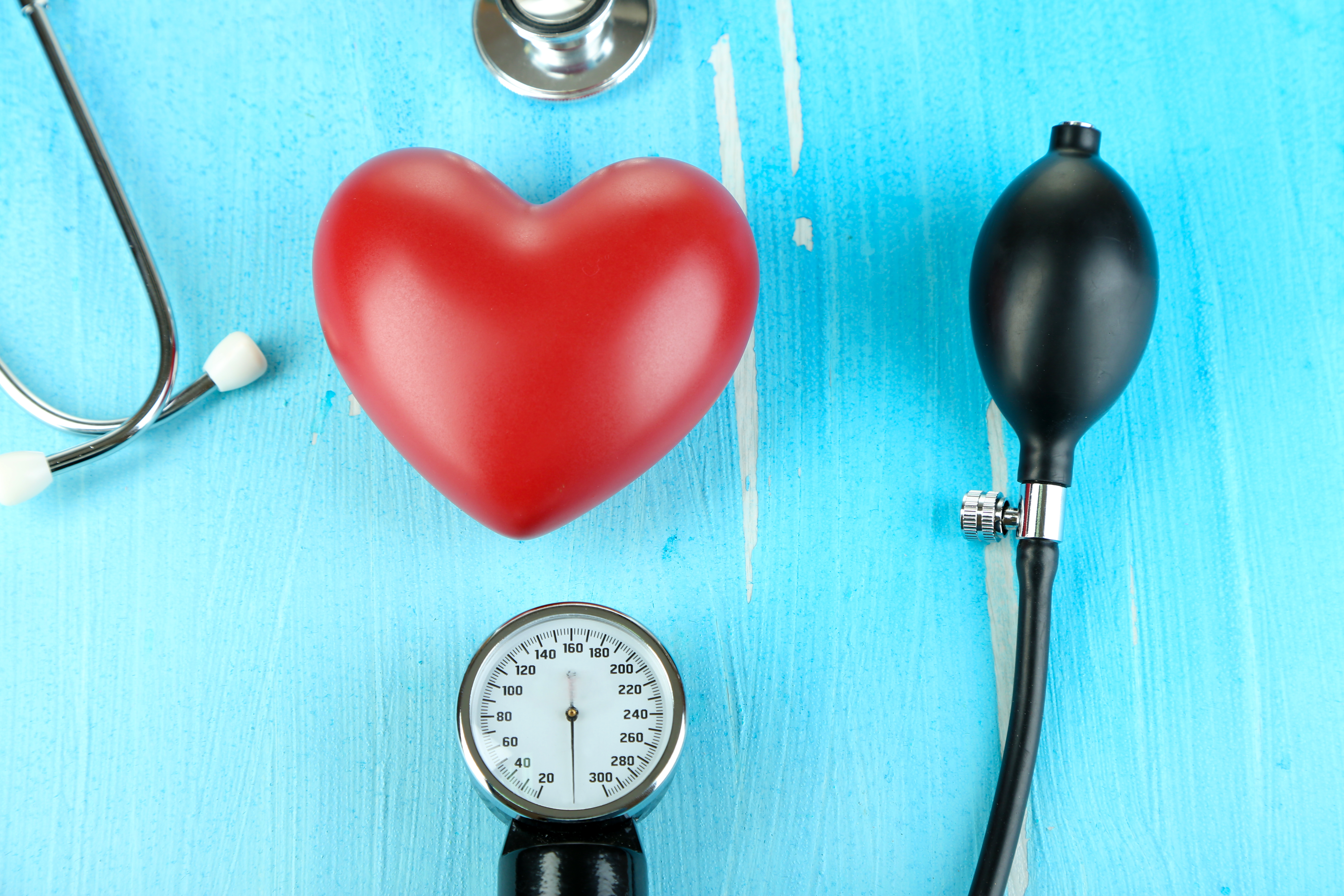 I Jornada catalana d’habilitats pràctiques en Risc Cardiovascular