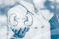 Atenció a la Malaltia Renal Crònica