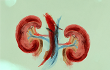 IV Jornada Malaltia Renal Crònica a l´Atenció Primària