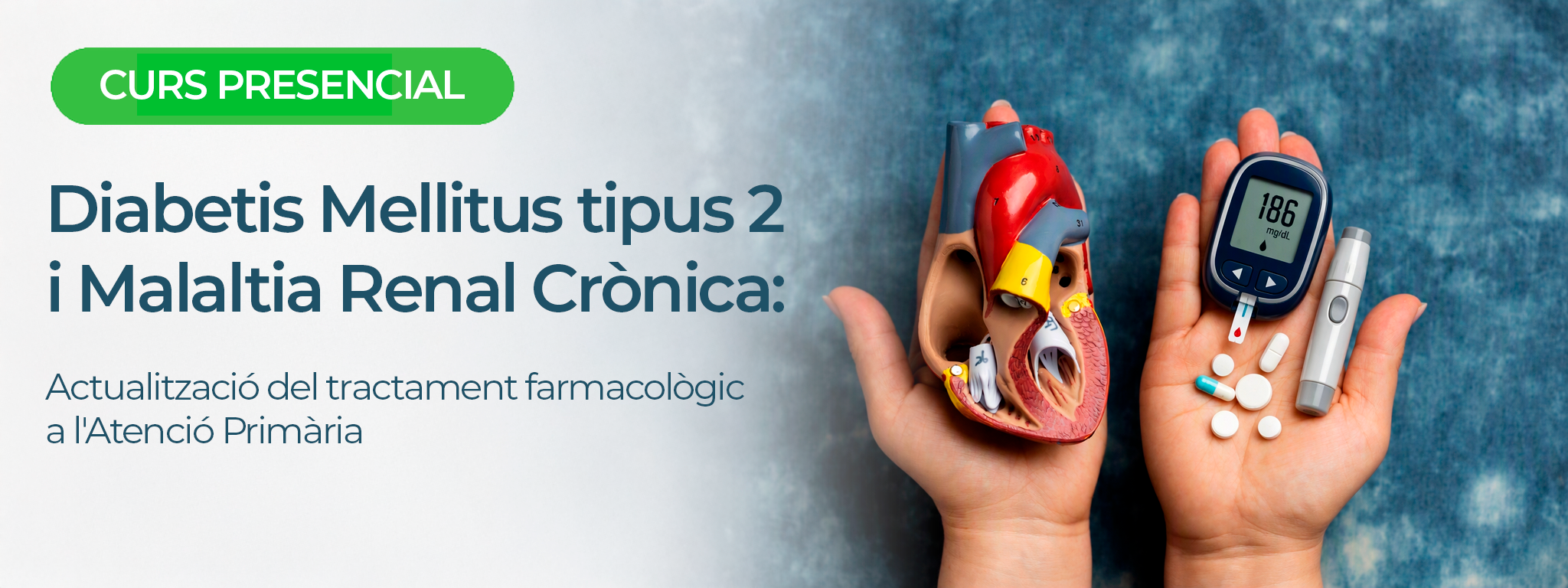 Diabetis Mellitus tipus 2 i Malaltia Renal Crònica: Actualització del tractament farmacològic a l´Atenció Primària